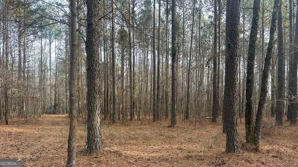 9 Country Club Road, Unit LOT 9 Sylvania, GA 30467 - Photo 14 of 31