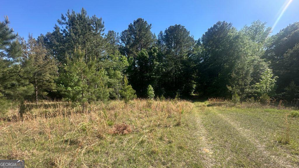 9 Country Club Road, Unit LOT 9 Sylvania, GA 30467 - Photo 18 of 31