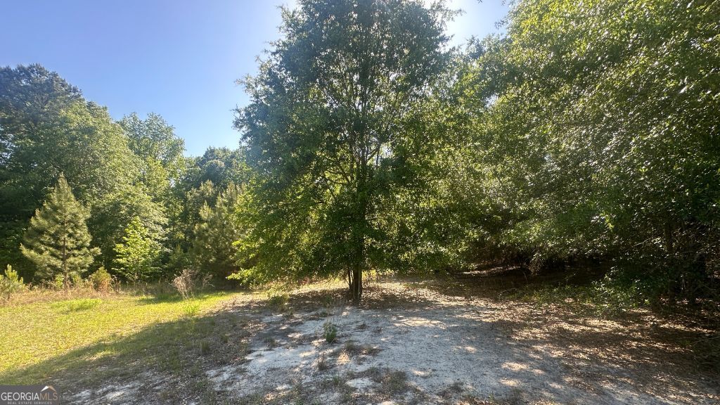 9 Country Club Road, Unit LOT 9 Sylvania, GA 30467 - Photo 19 of 31