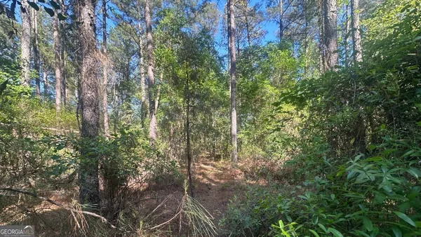 $256,000 | 9 Country Club Road, Unit LOT 9, Sylvania, GA 30467