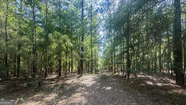 $256,000 | 9 Country Club Road, Unit LOT 9, Sylvania, GA 30467