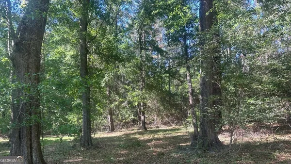 $256,000 | 9 Country Club Road, Unit LOT 9, Sylvania, GA 30467