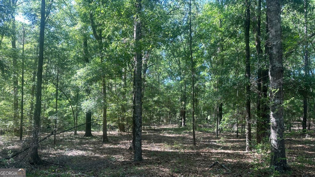 9 Country Club Road, Unit LOT 9 Sylvania, GA 30467 - Photo 29 of 31