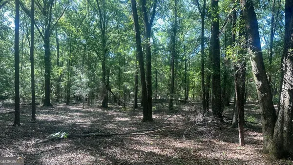 $256,000 | 9 Country Club Road, Unit LOT 9, Sylvania, GA 30467