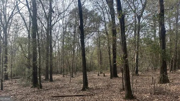 $256,000 | 9 Country Club Road, Unit LOT 9, Sylvania, GA 30467