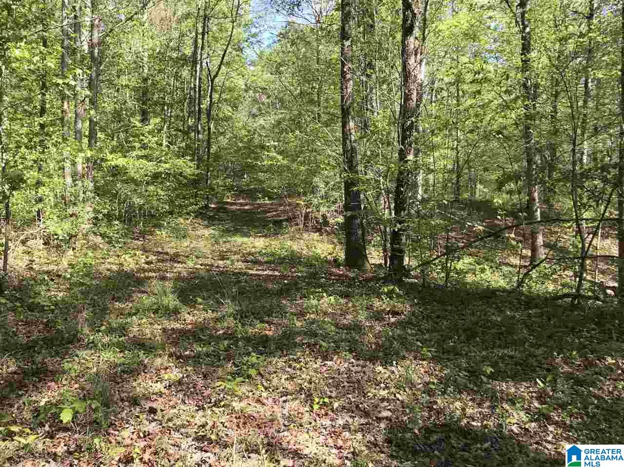 0 Acton Road, Unit 45 ACRE Moody, AL 35004 - Photo 12 of 12