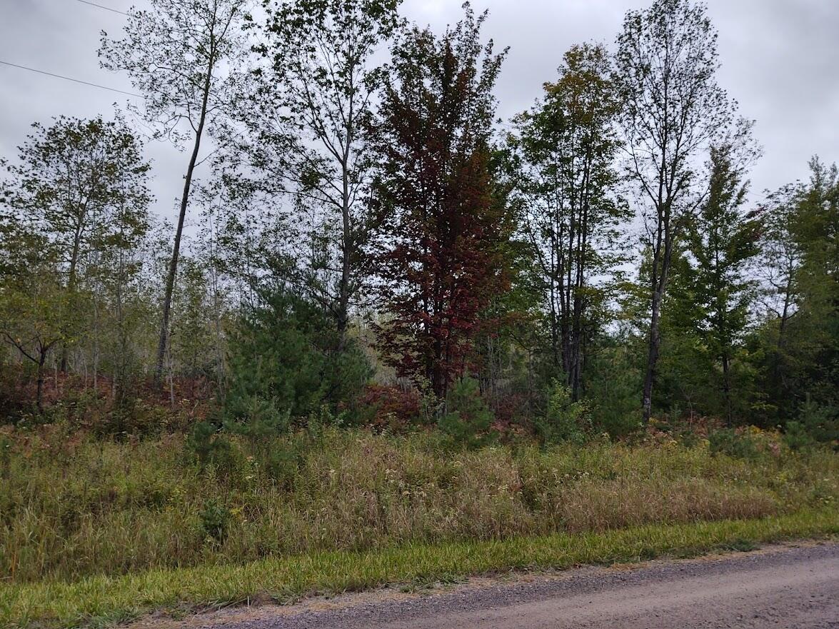 Nappers Road Herron, MI 49744 - Photo 6 of 9 Gallery Image 6