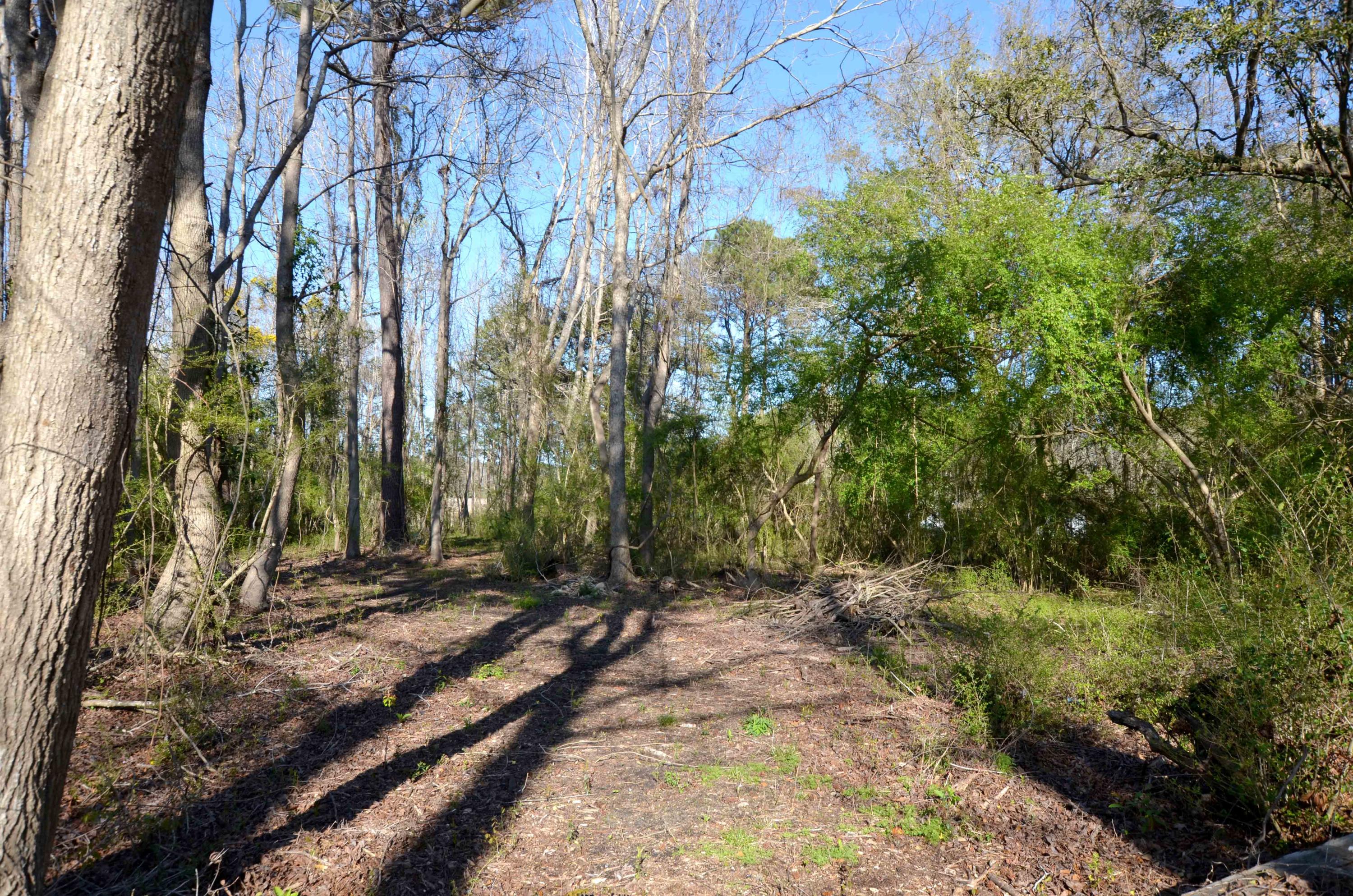 8679 Doar Road Awendaw, SC 29429 - Photo 11 of 13 Lot Interior