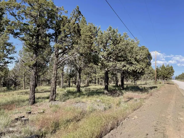 $15,000 | 0 Hilltop Lane, Alturas, CA 96101