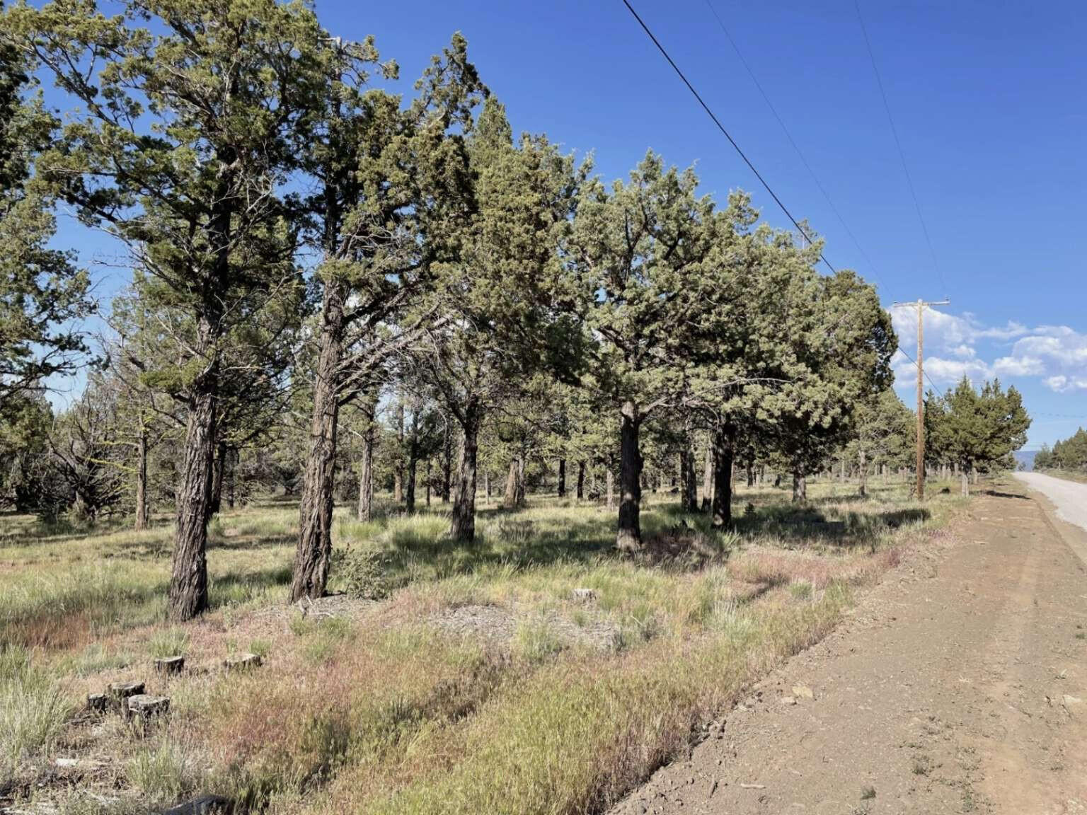 0 Hilltop Lane Alturas, CA 96101 - Photo 1 of 18 a view of backyard of the house