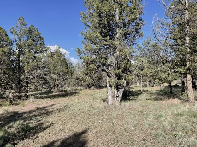 $15,000 | 0 Hilltop Lane, Alturas, CA 96101
