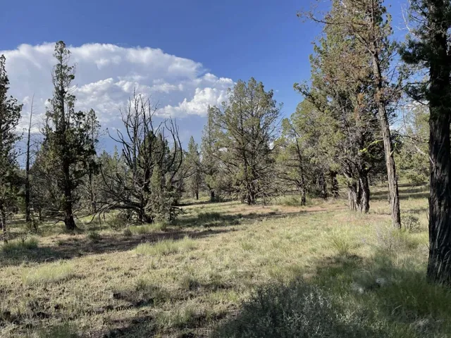 $15,000 | 0 Hilltop Lane, Alturas, CA 96101