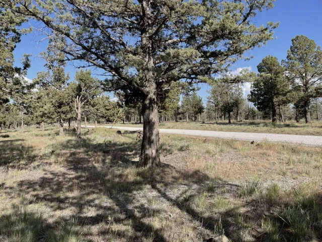 $15,000 | 0 Hilltop Lane, Alturas, CA 96101