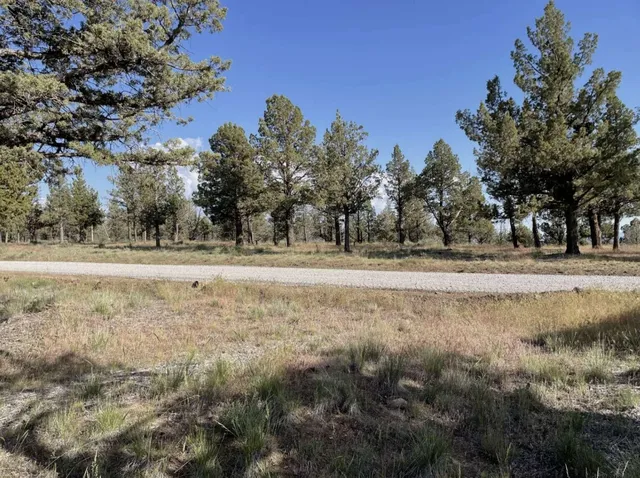 $15,000 | 0 Hilltop Lane, Alturas, CA 96101