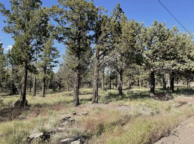 $15,000 | 0 Hilltop Lane, Alturas, CA 96101
