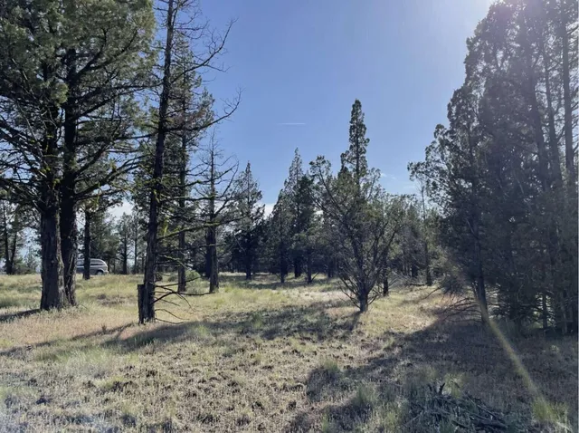 $15,000 | 0 Hilltop Lane, Alturas, CA 96101