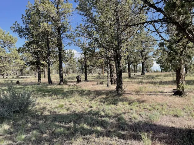 $15,000 | 0 Hilltop Lane, Alturas, CA 96101