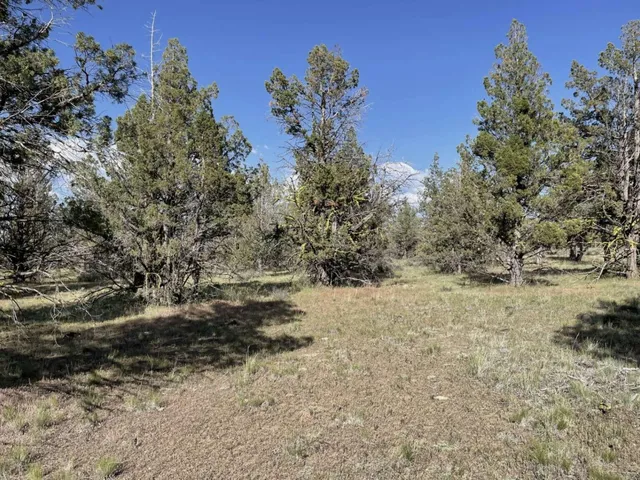 $15,000 | 0 Hilltop Lane, Alturas, CA 96101