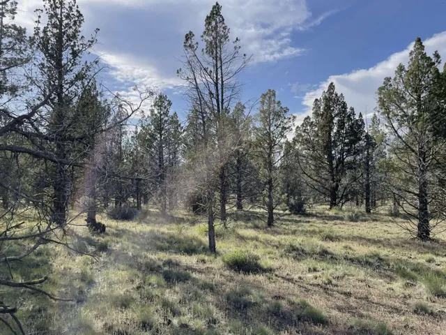 $15,000 | 0 Hilltop Lane, Alturas, CA 96101