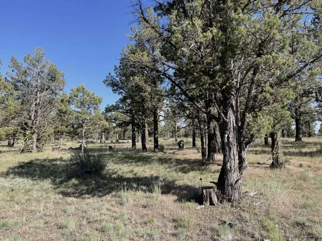 $15,000 | 0 Hilltop Lane, Alturas, CA 96101