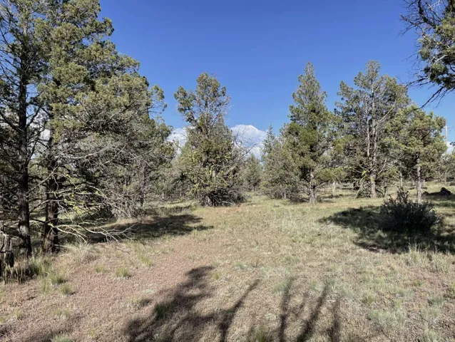 $15,000 | 0 Hilltop Lane, Alturas, CA 96101