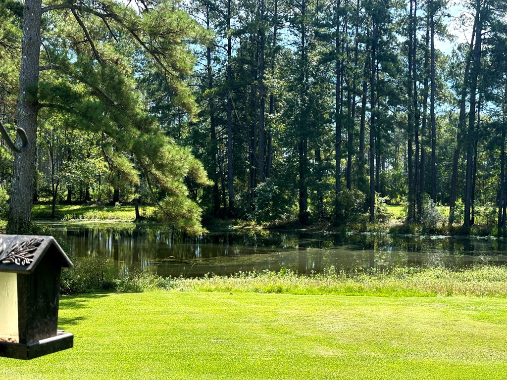 4146 Magnolia Pisgah Road Summit, MS 39666 - Photo 23 of 39 View of pond from private porch