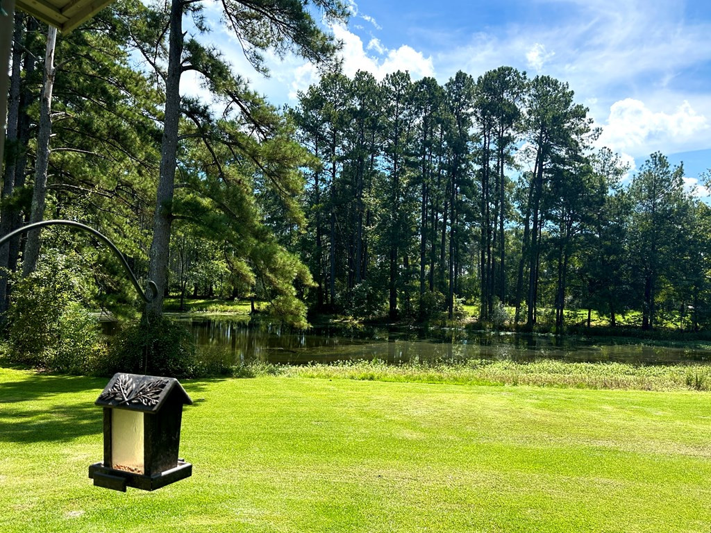 4146 Magnolia Pisgah Road Summit, MS 39666 - Photo 24 of 39 View of pond from private porch