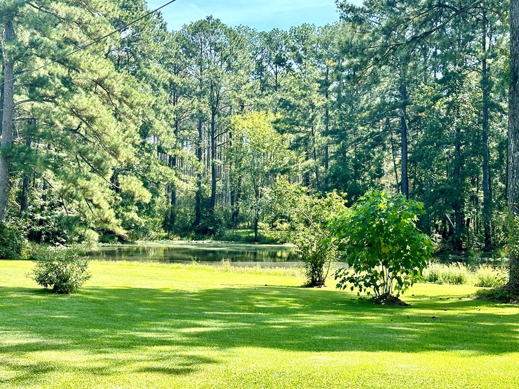 4146 Magnolia Pisgah Road Summit, MS 39666 - Photo 34 of 39 View from yard to pond