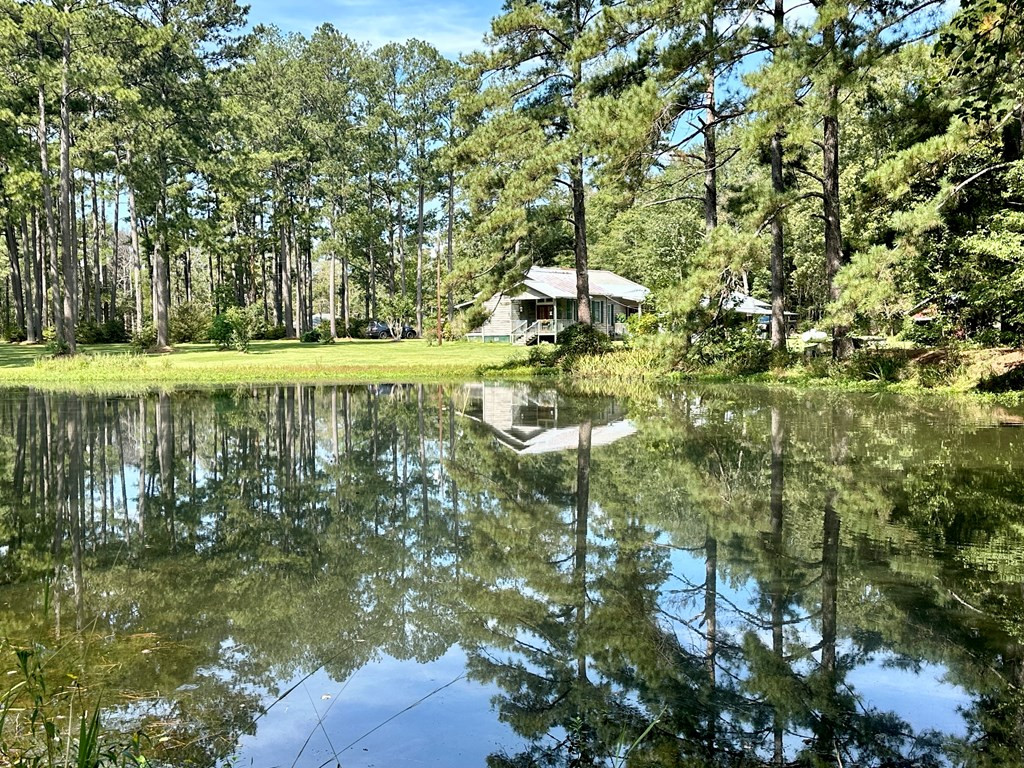 4146 Magnolia Pisgah Road Summit, MS 39666 - Photo 4 of 39 Home across the pond