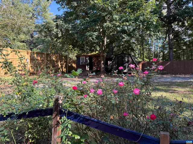 a view of a potted flower in a yard with swimming pool