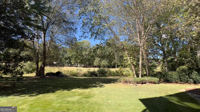 a view of yard with tree