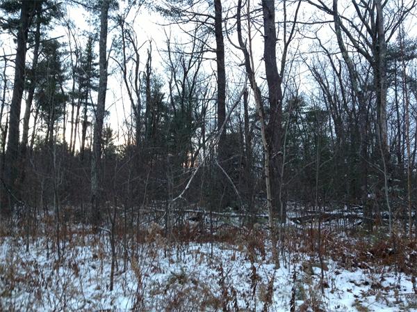Lot 10 Lowry Lane Rutland, MA 01543 - Photo 1 of 3 Gallery Image 1