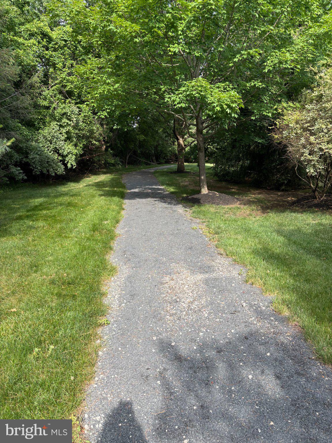 38 Kyle Way Ewing, NJ 08628 - Photo 32 of 38 Serene path through lush greenery.
