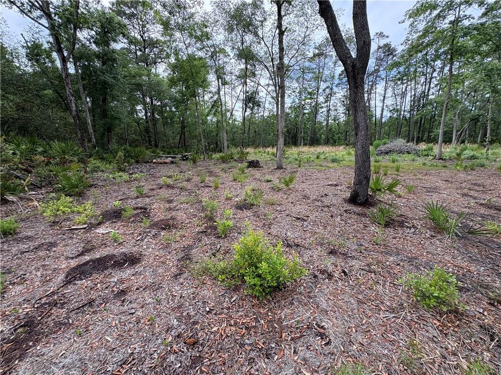 0 Piney Bluff Road Waverly, GA 31565 - Photo 9 of 26 Left property Line