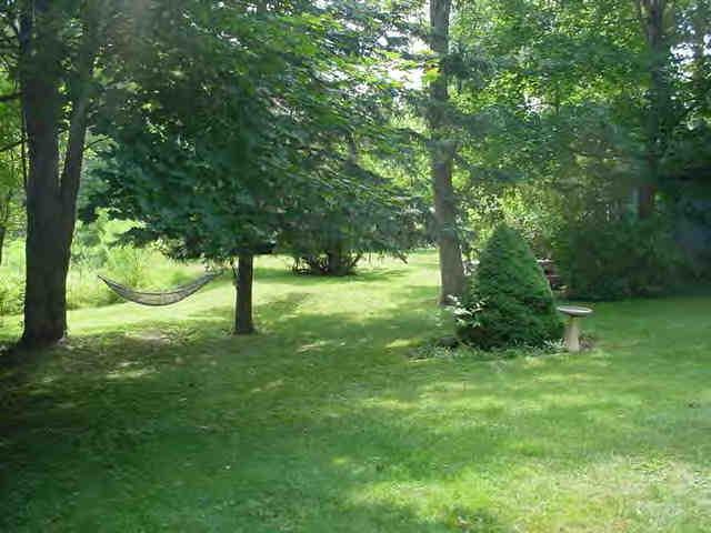 3 Train Hill Road Stockbridge, MA 01266 - Photo 3 of 3 a view of lush green forest