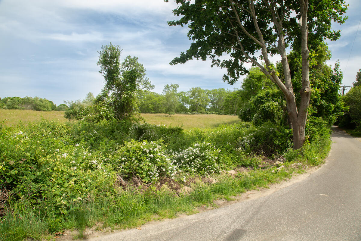 205 Stoney Point Road Cummaquid, MA 02675 - Photo 18 of 24 2020 Stoney Point-114