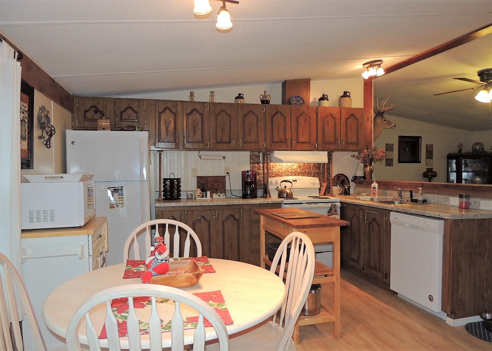 965 Mysinger Road Greeneville, TN 37743 - Photo 10 of 27 10 Kit