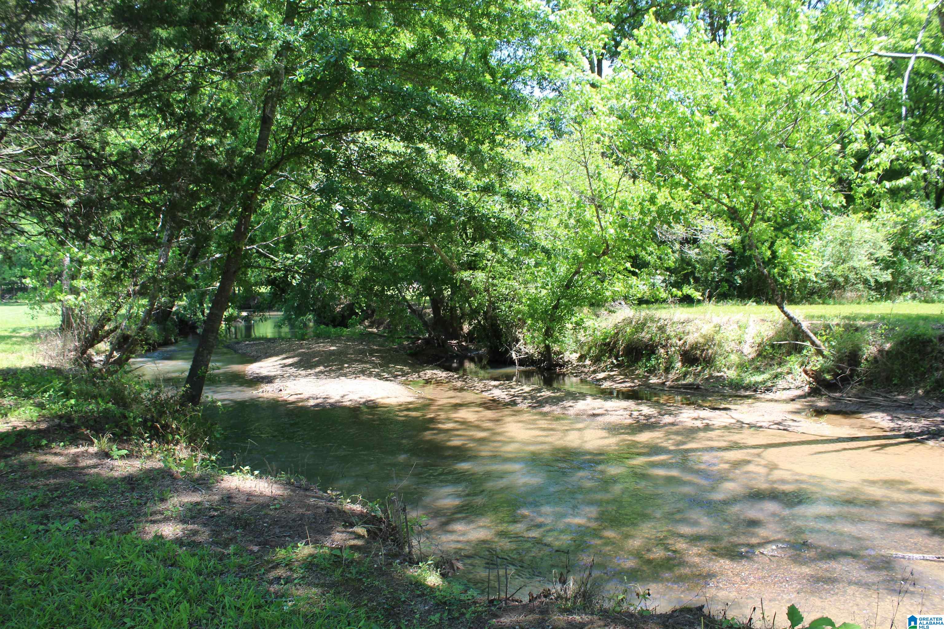 1680 Highway 174 Springville, AL 35146 - Photo 7 of 97