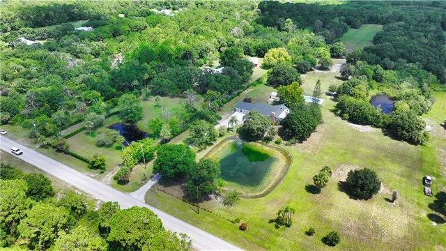 a view of a garden with plants