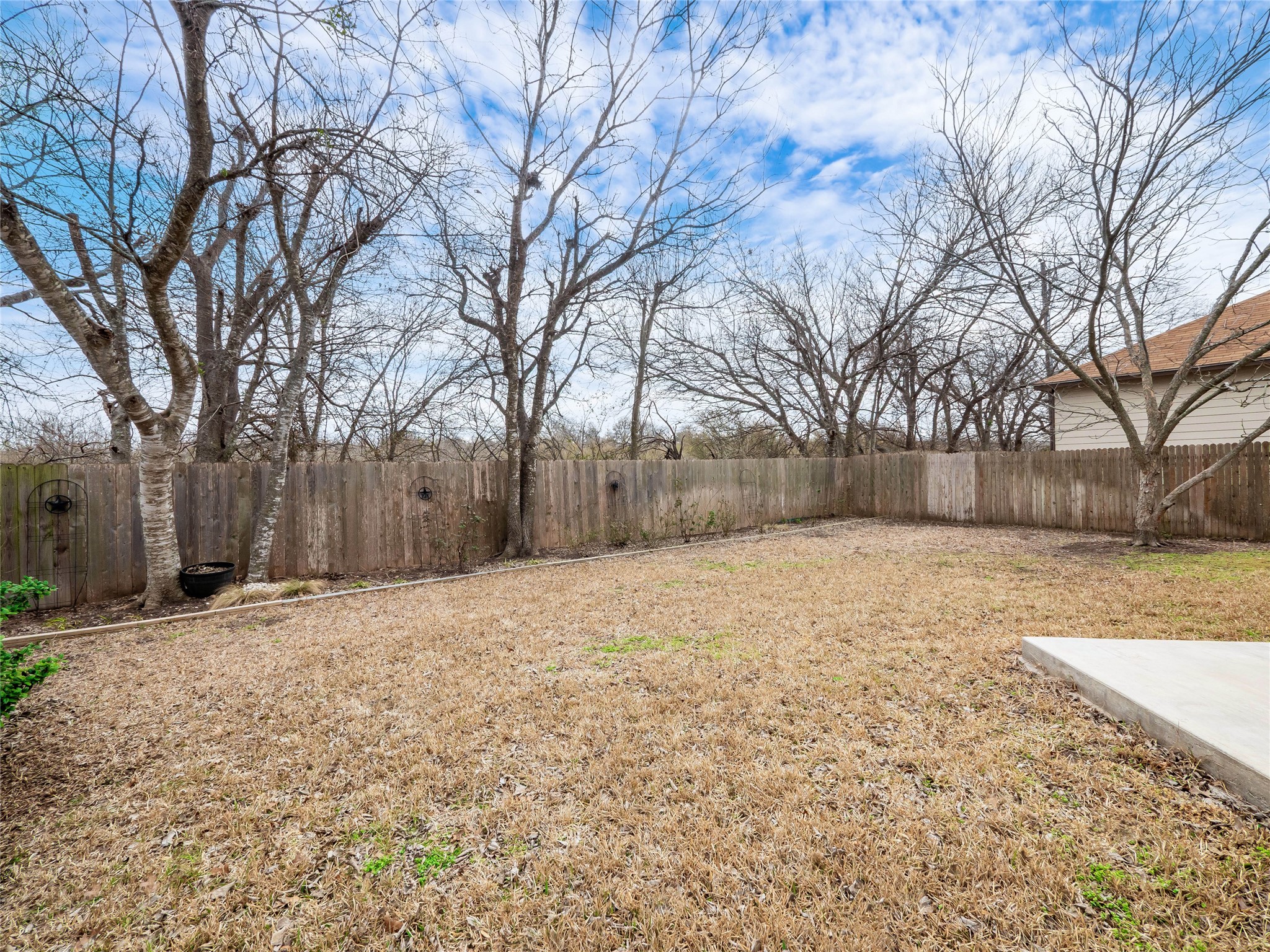 679 Apricot Drive Kyle, TX 78640 - Photo 33 of 37