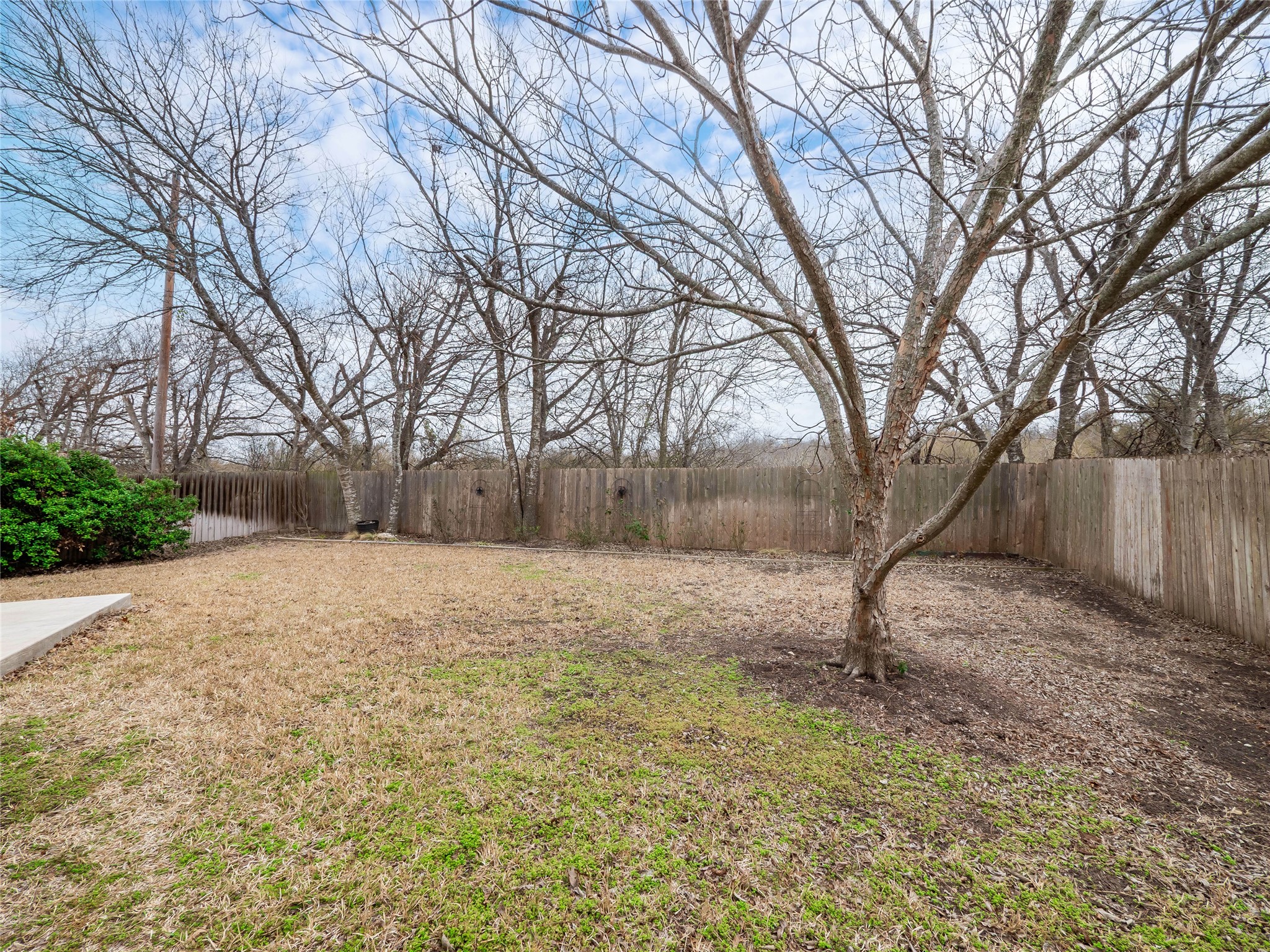 679 Apricot Drive Kyle, TX 78640 - Photo 34 of 37