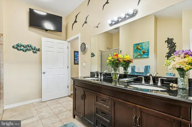 a bathroom with a sink a large mirror and a potted plant