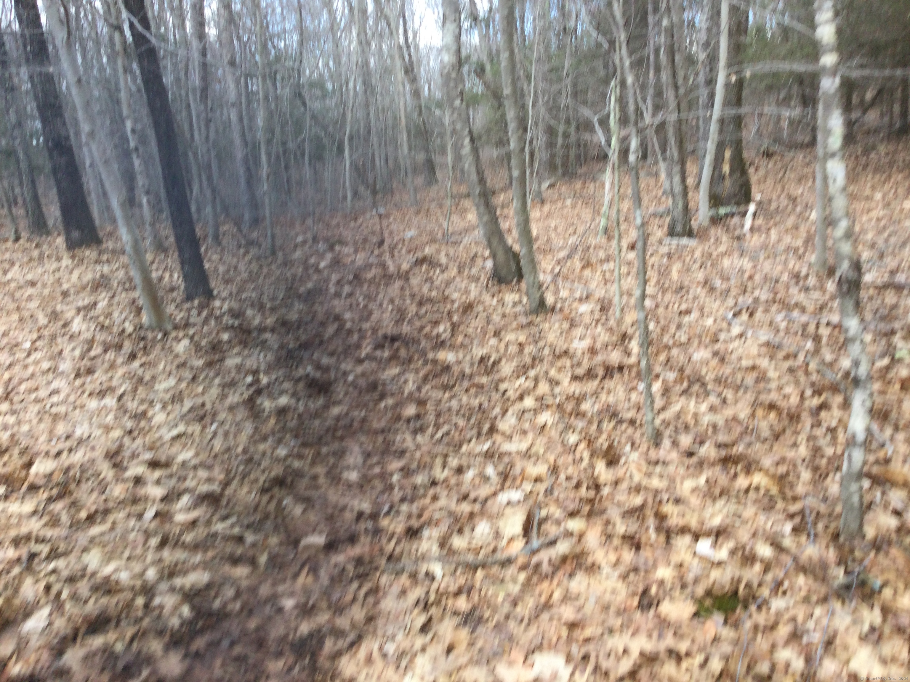 0 Trowbridge Road Moodus, CT 06469 - Photo 1 of 1
