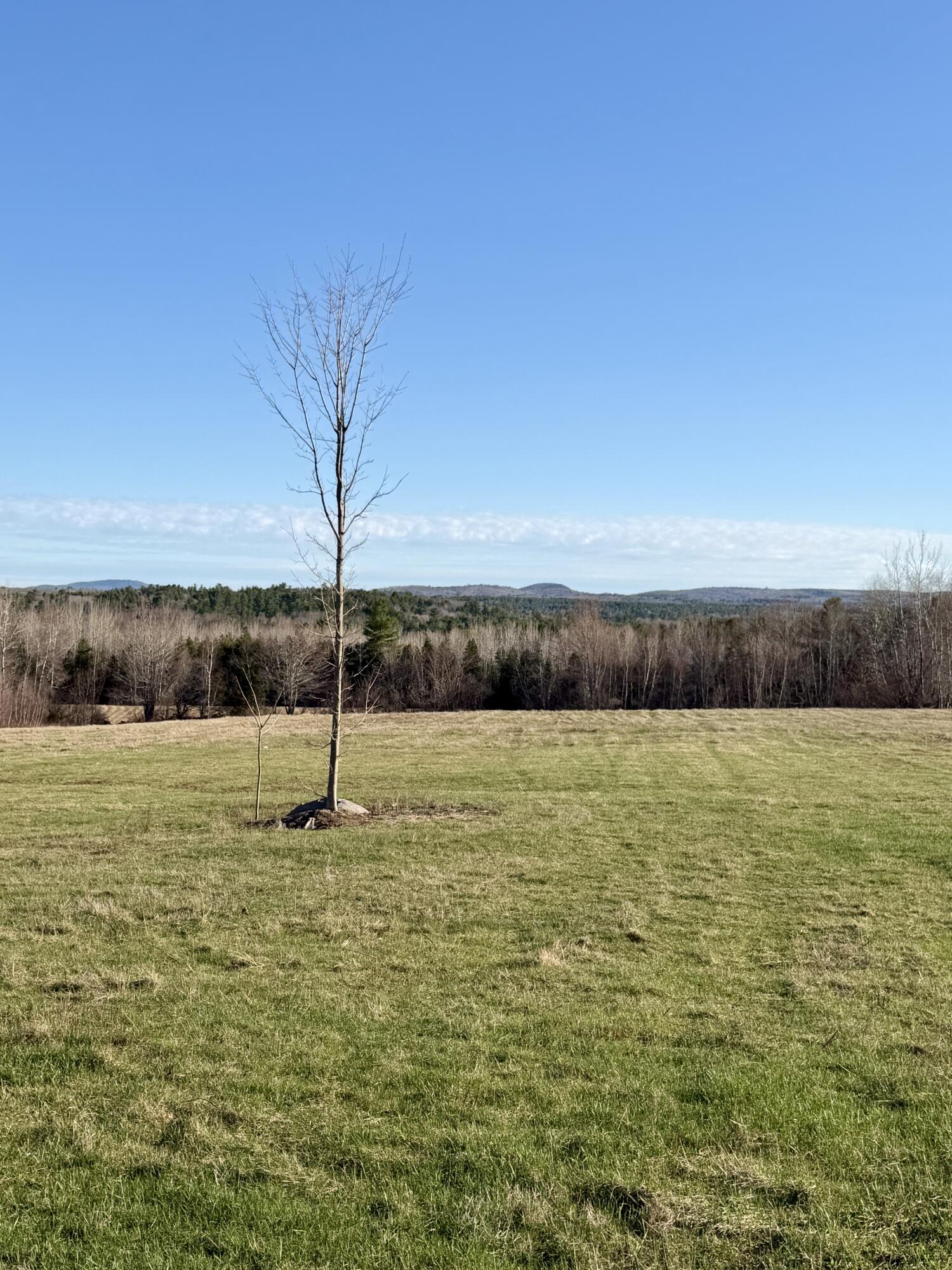 Lot # Shaw Hill Road Hampden, ME 04444 - Photo 3 of 15 IMG_6445 2