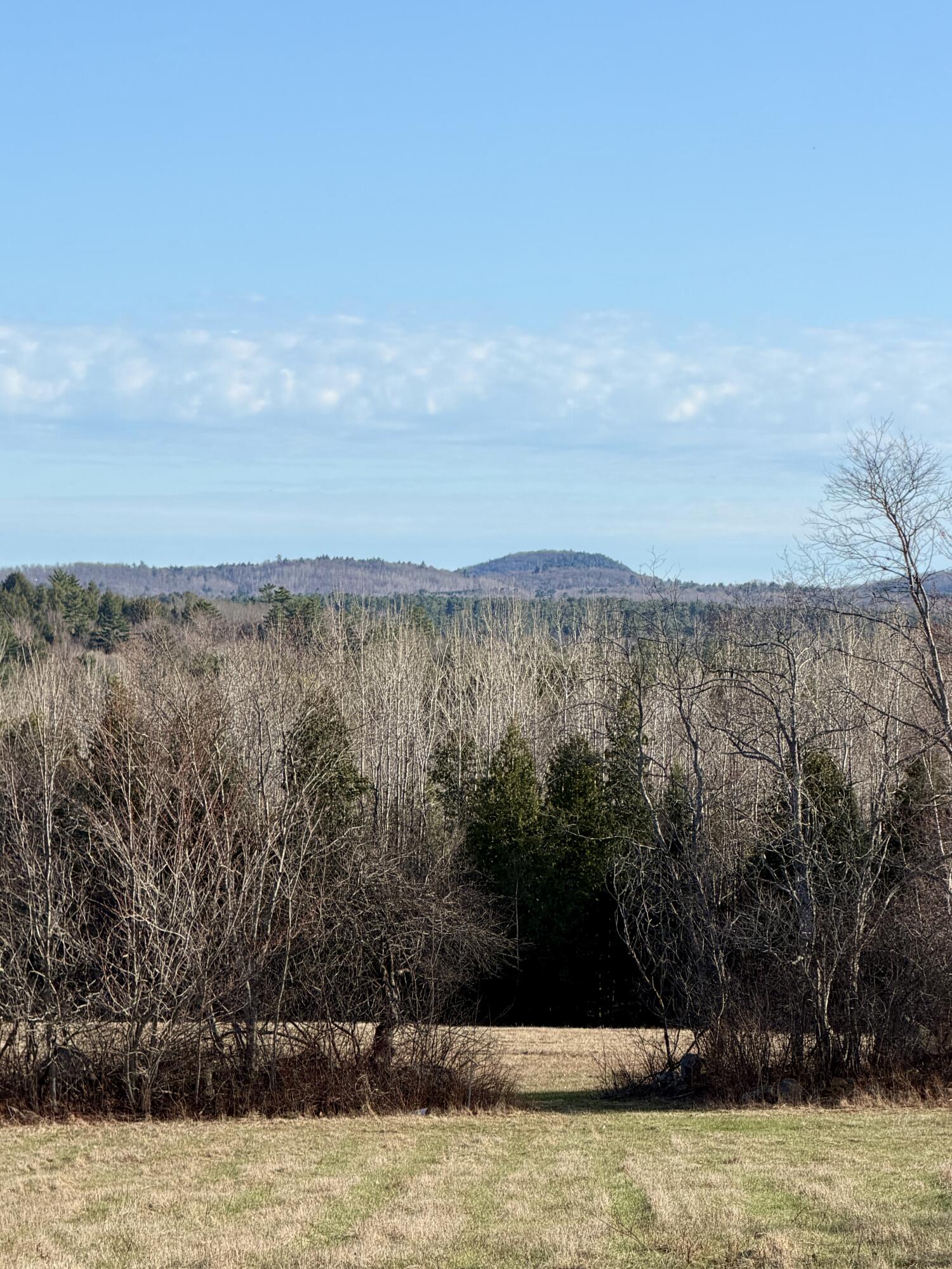 Lot # Shaw Hill Road Hampden, ME 04444 - Photo 7 of 15 IMG_6449
