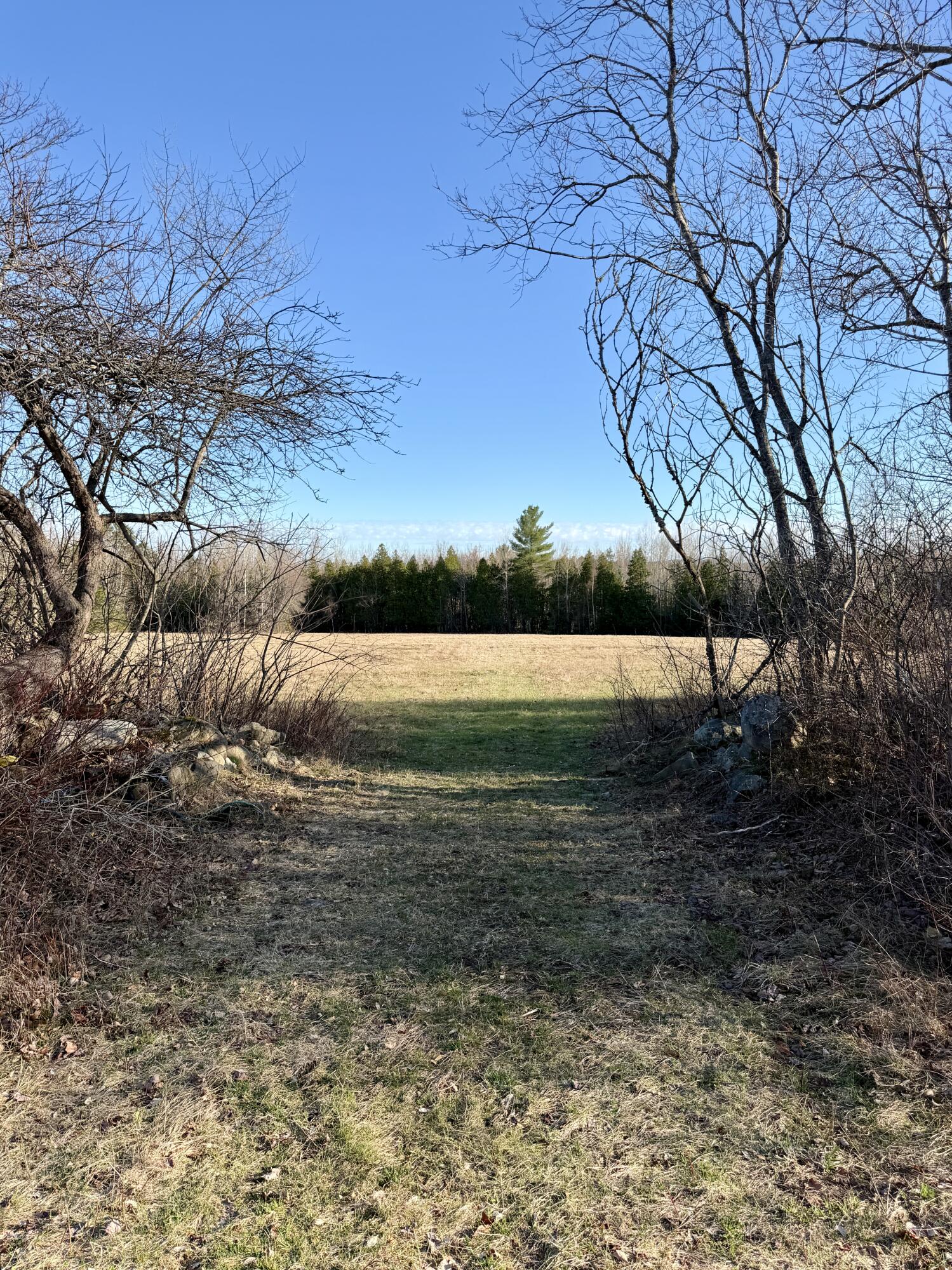 Lot # Shaw Hill Road Hampden, ME 04444 - Photo 8 of 15 IMG_6451