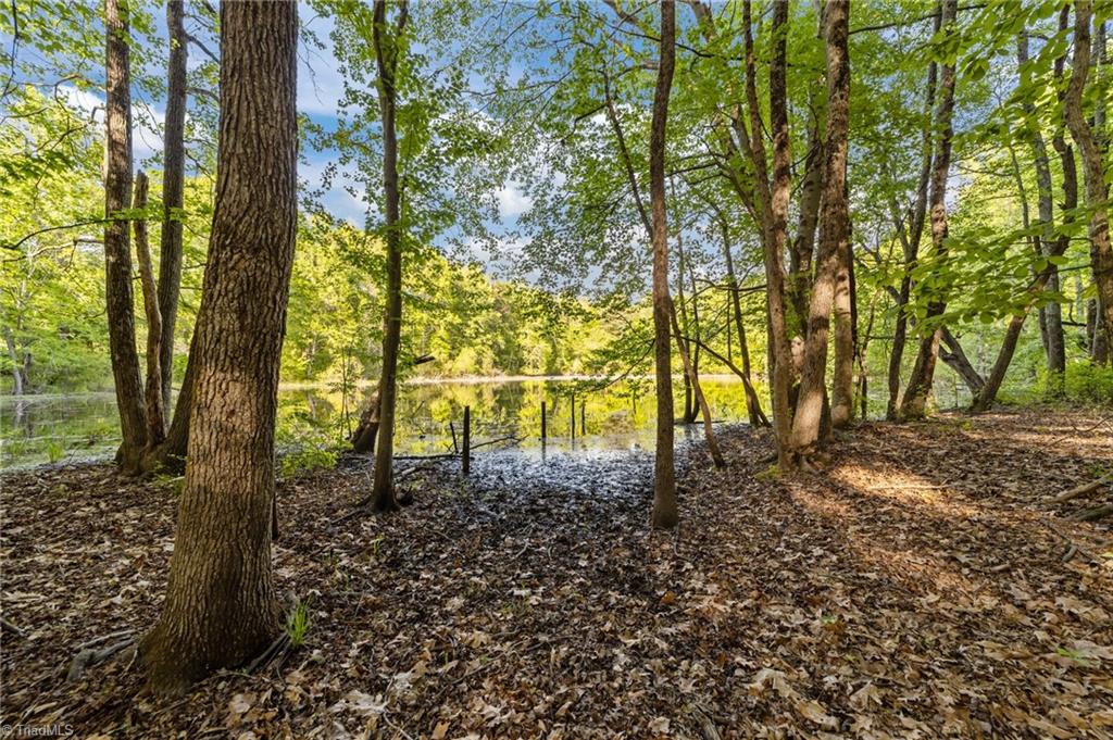 3432 Edgefield Road Greensboro, NC 27409 - Photo 33 of 34 Fishing anyone?