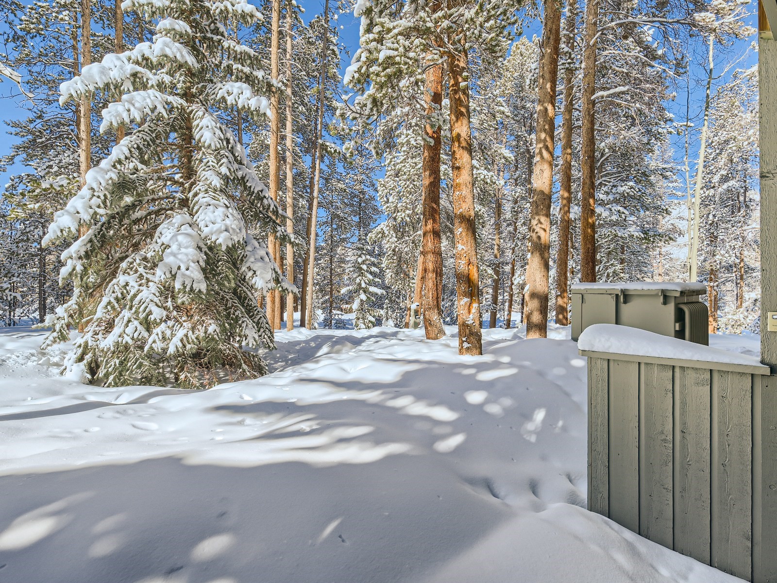 100 Wild Irishman Road, Unit 1110 Keystone, CO 80435 - Photo 18 of 25 Winter view from the patio