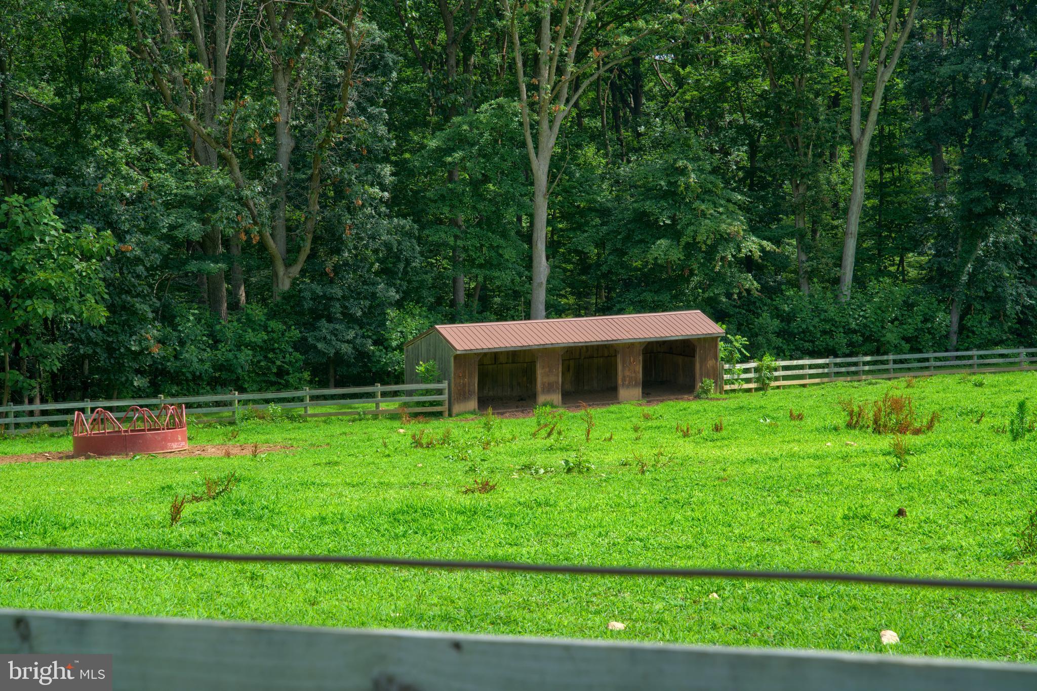 4346 Basford Road Frederick, MD 21703 - Photo 39 of 149 36 x 12 run-in shed