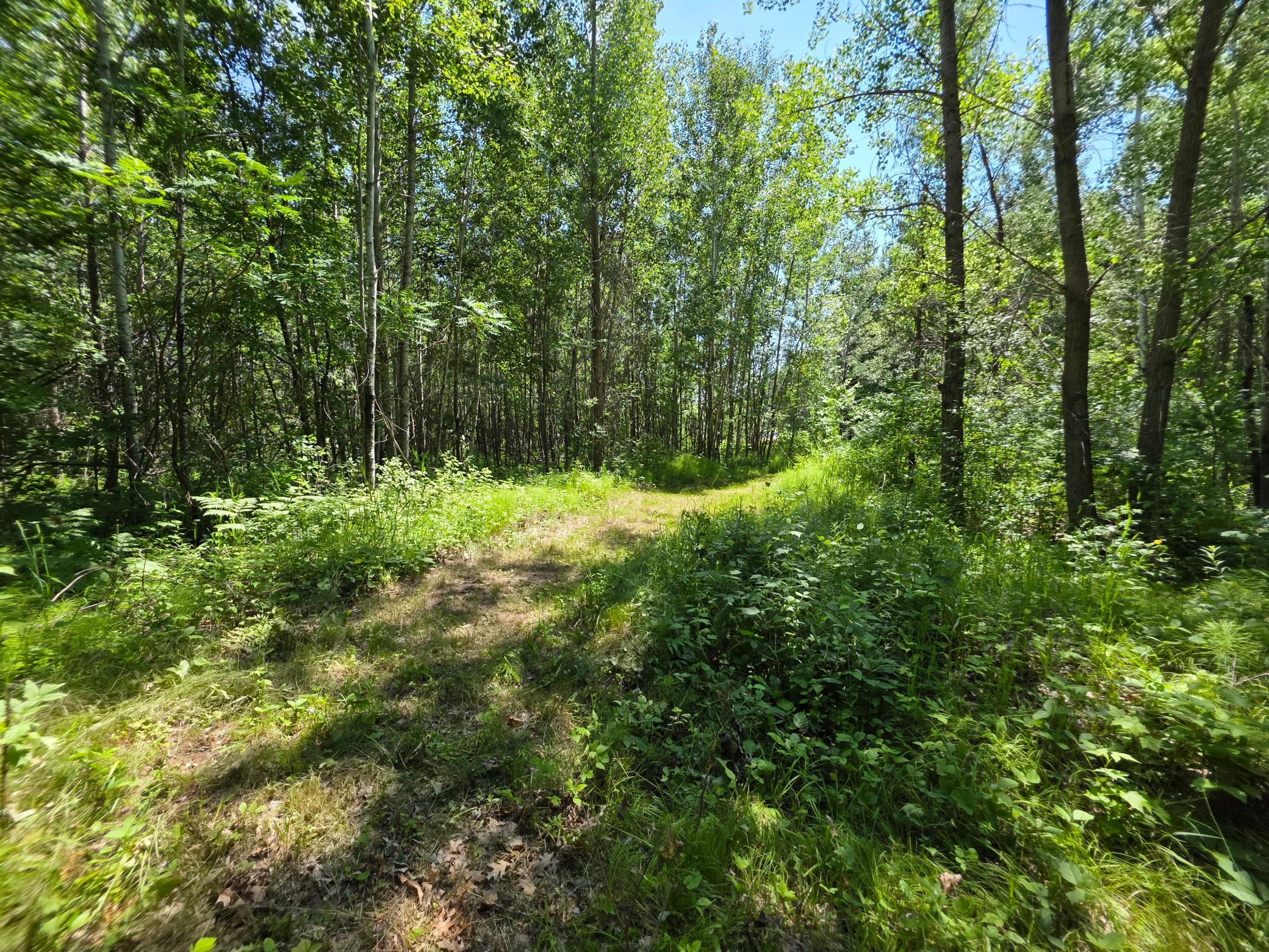 5098 177th Street Milaca, MN 56353 - Photo 23 of 44